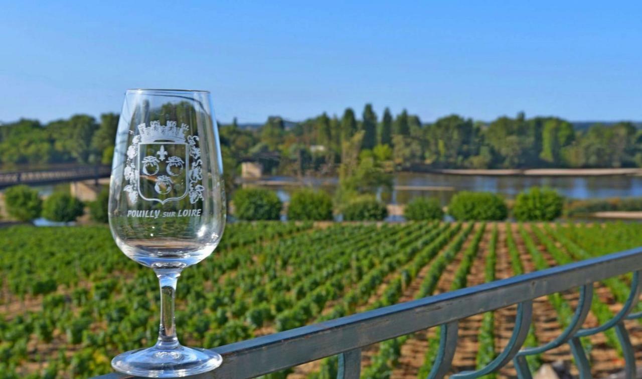 Gite Des Chaumiennes Pouilly-sur-Loire Exterior photo