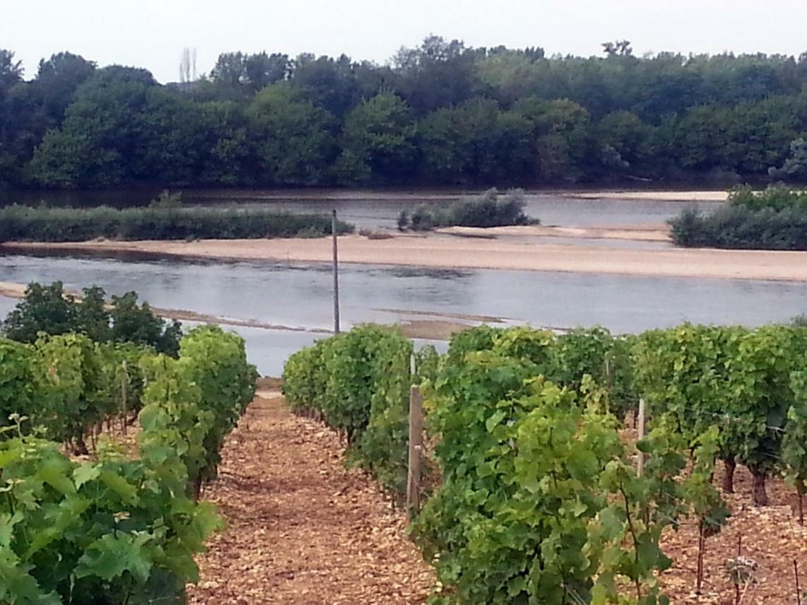 Gite Des Chaumiennes Pouilly-sur-Loire Exterior photo